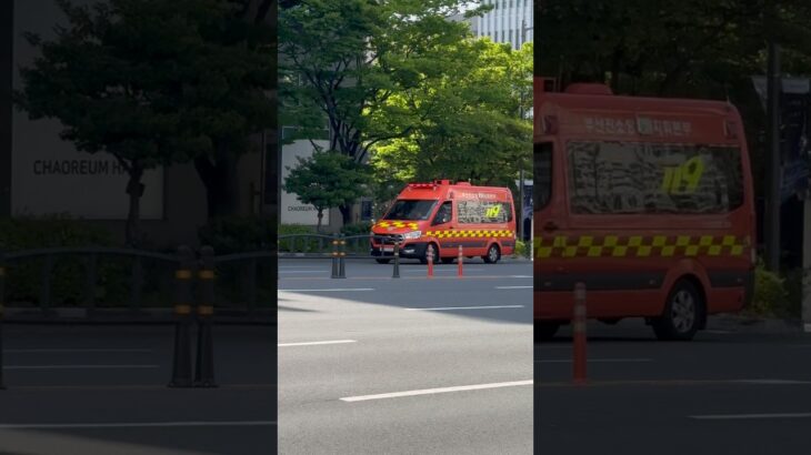 韓国釜山鎮(プサンジン)消防署所属の指揮者、はしご車、救急車緊急出動#韓国 #消防車 #救急車 #緊急出動 #緊急走行 #緊急車両 #firetruck #korea #소방차 #shorts
