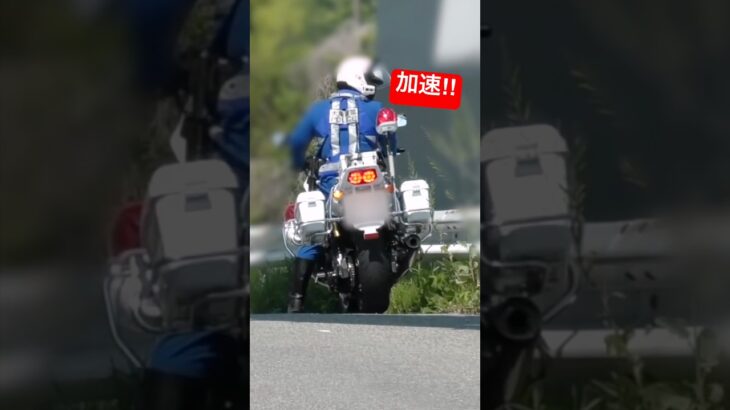 【猛加速‼️】白バイが速いアルファードを捕まえる‼️ #shorts #大阪府警