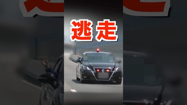 覆面パトカーから『逃走』する違反車‼️ #shorts 【安全運転啓発】