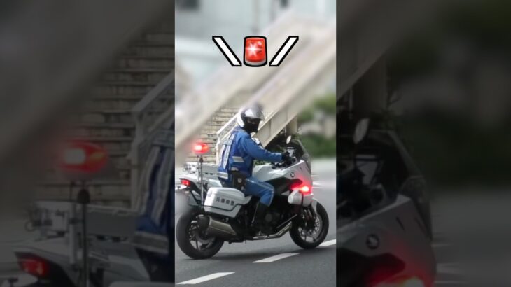 緊急走行で違反車を追跡‼️ 鳴り響くサイレン‼️  #白バイ #取締り #shorts