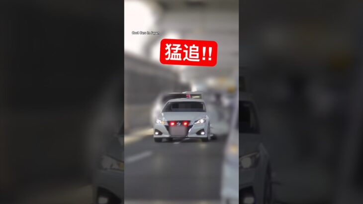違反車を『猛追』する覆面パトカーが凄い⁉️ #shorts