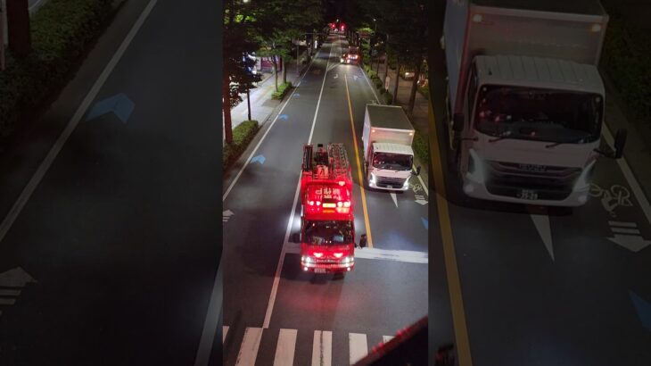 【消防車🚒上からの撮影】#shorts　#緊急走行　#消防車　#サイレン