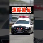 真後ろのパトカーに気付かず‼️ 速度取締りの瞬間　#shorts