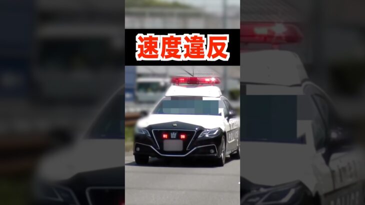真後ろのパトカーに気付かず‼️ 速度取締りの瞬間　#shorts