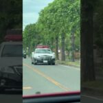 🚨パトカー🚨兵庫県警🚨パトロール🚨クラウンパトカー🚨 #パトカー #クラウンパトカー #兵庫県警 #shorts #short #shortvideo