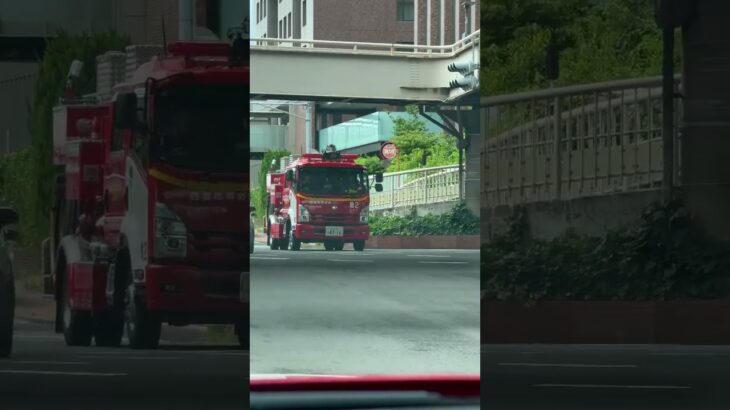 🚨消防車🚨帰還シーン🚨西宮市消防局🚨 #消防車 #西宮市消防局 #shorts #shortsfeed #shortvideo
