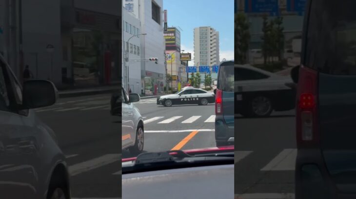 🚨パトカー🚨赤色灯🚨パトロール🚨兵庫県警🚨 #パトカー #赤色灯 #兵庫県警 #shorts #shortsvideo #shortvideo