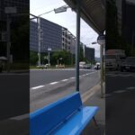 🚨響き渡るサイレン🚨救急車🚨緊急走行🚨宝塚市消防本部🚨 #救急車 #緊急走行 #宝塚市消防本部 #shorts #shortvideo #short