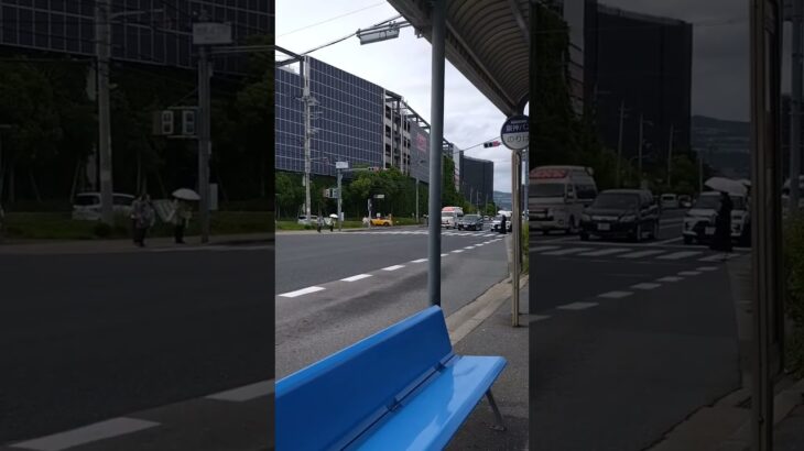 🚨響き渡るサイレン🚨救急車🚨緊急走行🚨宝塚市消防本部🚨 #救急車 #緊急走行 #宝塚市消防本部 #shorts #shortvideo #short