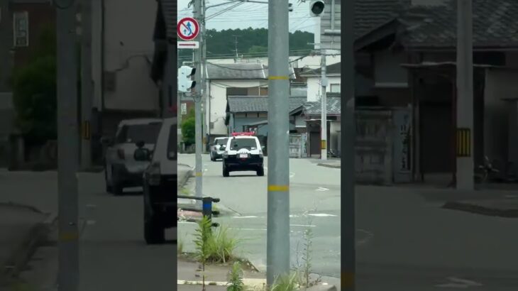 😳😳😳激レアなパトカーが走ってた😳😳😳 #パトカー #兵庫県警 #赤色灯 #shorts #shortvideo #short