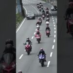 😳😳😳バイク集団に遭遇😳😳😳 #バイク #バイクツーリング #shorts #shortvideo #shortsfeed