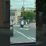 🚨警察官🚨警察バイク🚨パトロール🚨兵庫県警🚨 #警察官 #兵庫県警 #警察官 #shorts #shortvideo #shortsfeed