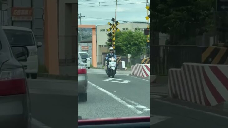 🚨警察官🚨警察バイク🚨パトロール🚨兵庫県警🚨 #警察官 #兵庫県警 #警察官 #shorts #shortvideo #shortsfeed