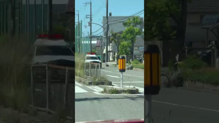 🚨パトカー🚨赤色灯🚨パトロール🚨兵庫県警🚨 #パトカー #赤色灯 #兵庫県警 #shorts #shortvideo #shortsfeed