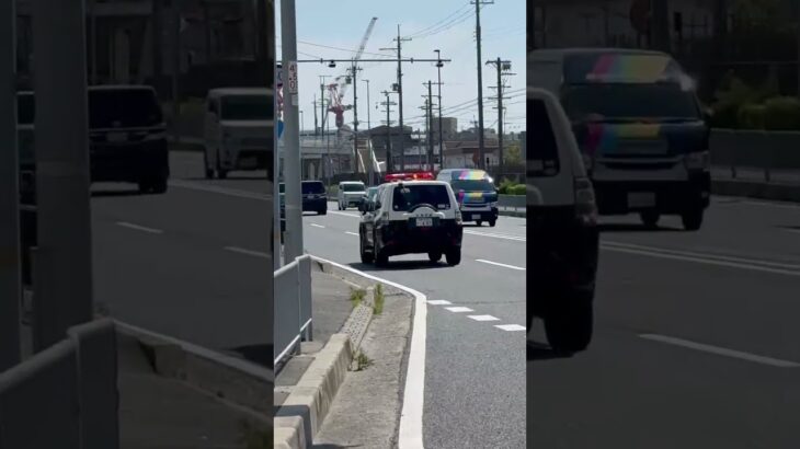 🚨激レアパトカー🚨兵庫県警🚨 #パトカー #兵庫県警 #shorts #shortvideo #shortsfeed