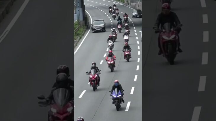 😳😳😳バイク集団に遭遇😳😳😳 #バイク #バイクツーリング #shorts #shortvideo #shortsfeed