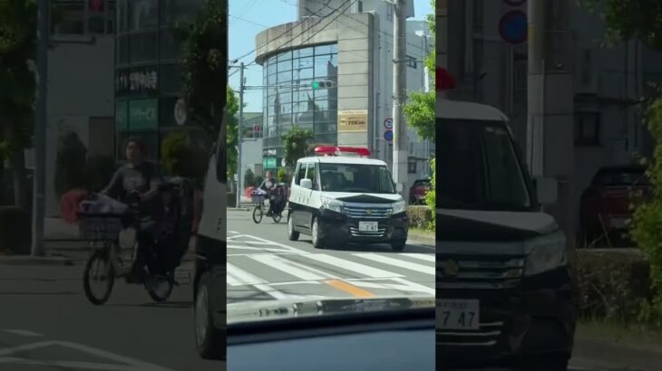 🚨パトカー🚨赤色灯🚨パトロール🚨兵庫県警🚨 #パトカー #兵庫県警 #shortsvideo #shorts #shortsfeed