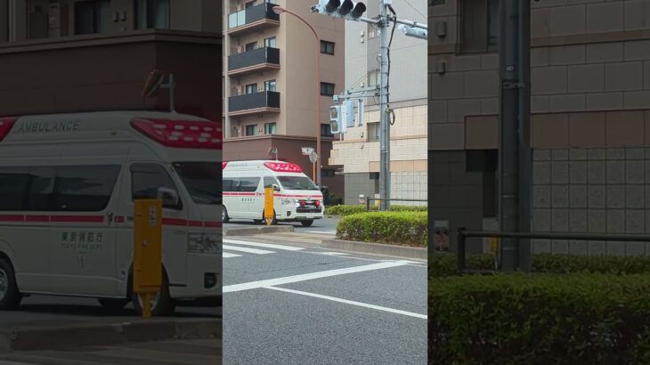 救急車緊急走行 #救急車 #緊急走行 #救急車 #緊急車両 #緊急