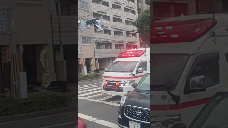 【緊急走行】交差点通過!鹿児島市消防局甲南救急隊