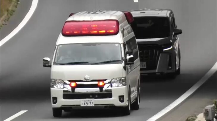 🚨🚨🚨緊急走行の救急車にピッタリついて走るアルファード😳😳😳 #救急車 #緊急走行 #大阪市消防局 #サイレン
