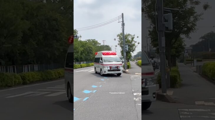 アクティビーコン❗️さいたま市消防局 見沼救急🚑🚨 #緊急車両 #救急車 #緊急走行 #消防署 #さいたま救急車