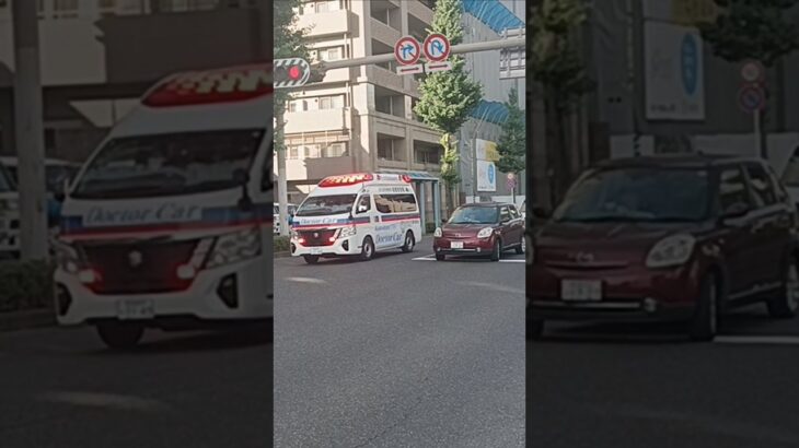 【緊急走行】市立病院へ救急搬送!鹿児島市消防局高度救急隊ドクターカー