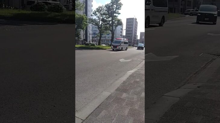 中央消防署車両点検終了後の初の出動 #札幌市消防局 #消防署#救急車#緊急走行#かっこいい#出動