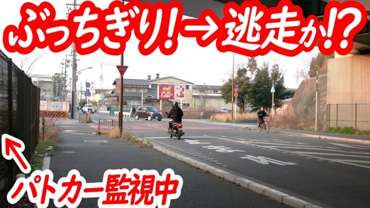 静寂に鳴り響くサイレン！原付まさかの逃走！？【パトカーによる一時停止取り締まり】