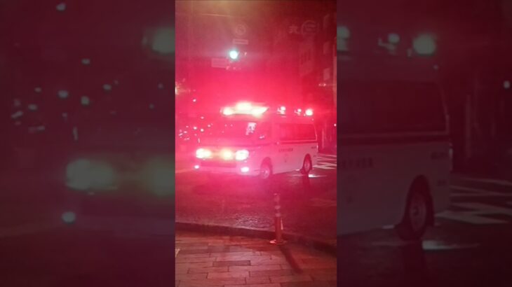 【緊急走行】事故現場より救急搬送!鹿児島市消防局南林寺救急隊