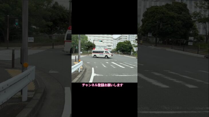 コンフォートサイレンを鳴らし緊急走行 アクティビーコン搭載ハイメディック救急車【本町救急隊・藤沢市消防局】