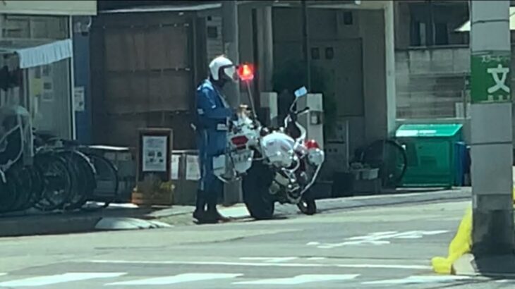 🚨白バイを発見🚨白バイ🚨赤色灯🚨兵庫県警🚨 #白バイ #赤色灯 #兵庫県警 #白バイ隊員