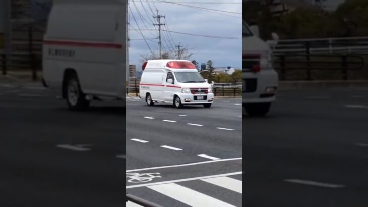 まもなく引退！エルグランドの緊急走行