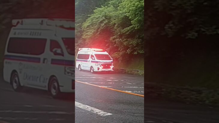 【緊急走行】要救助者を救急搬送!鹿児島市消防局高度救急隊ドクターカー