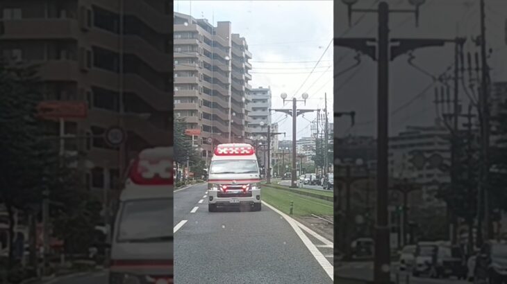 【緊急走行】前から救急車が…！この後左に寄りました!鹿児島市消防局甲南救急隊