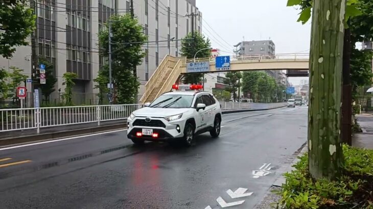 公益財団法人赤十字社血液運搬車緊急走行