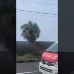 天陽会中央病院　ドクターカー #救急車
