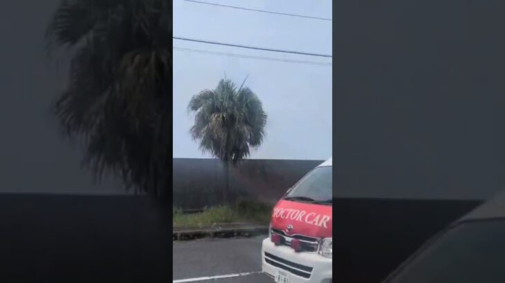 天陽会中央病院　ドクターカー #救急車