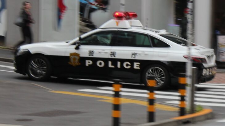 【自ら隊&機捜】消防署横での事案#警視庁 #パトカー #警察 #緊急走行