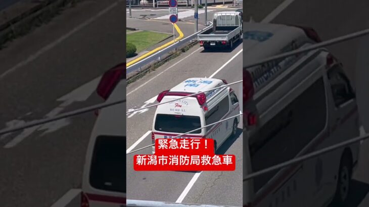 #緊急走行  する新潟市消防局の #救急車
