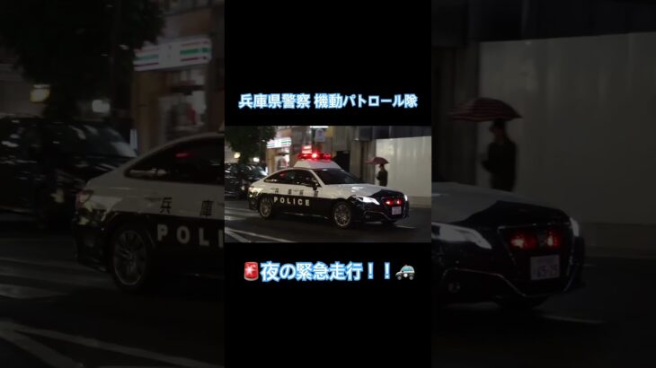 兵庫県警察 機動パトロール隊 🚨夜の緊急走行！！🚓 #兵庫県警察 #機動パトロール隊 #兵庫県警察機動パトロール隊 #パトカー #緊急走行 #夜 #警察 #マイクパフォーマンス #警察官