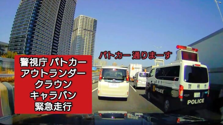 警視庁パトカー 緊急走行