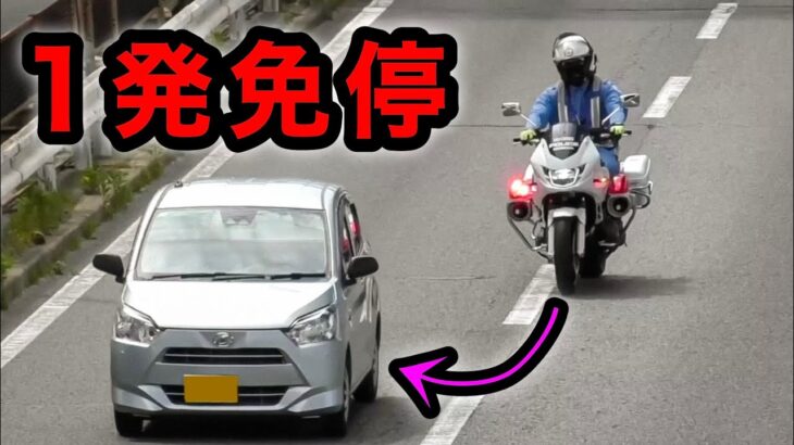 【１発免停の瞬間‼️】白バイに気付かず爆走するミライースの結末‼️　[サイレン 速度取り締まり]