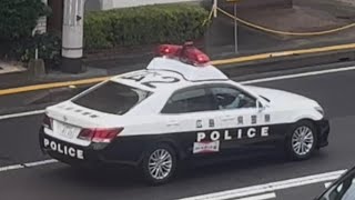 パトカー　緊急走行