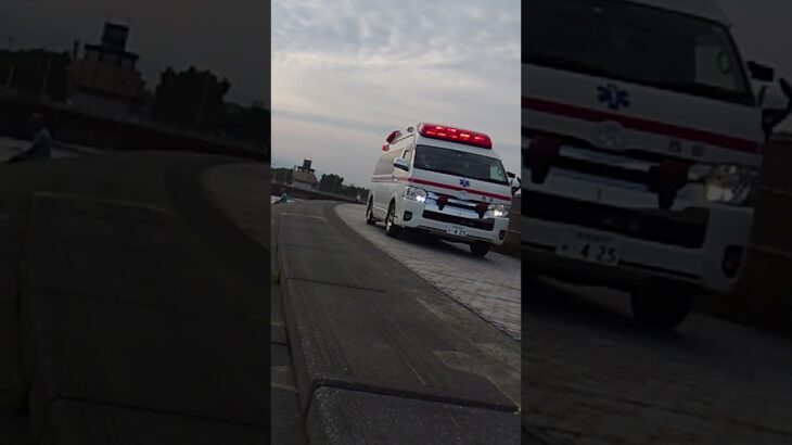 片瀬海岸を緊急走行するハイメディック救急車【西部救急隊・藤沢市消防局】