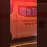 薩摩川内市消防局　中央消防署南部分署　南部救急２０１ #救急車