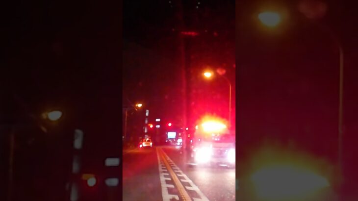 パラメディック救急車 緊急走行