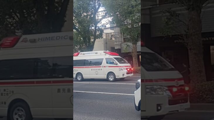 【緊急走行】事故現場より救急搬送!鹿児島市消防局中央本署救急隊