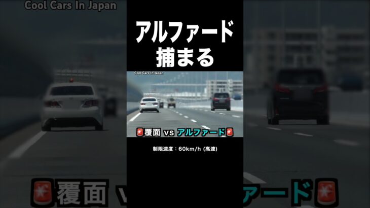 【覆面パトカー vs アルファード】捕まえる瞬間‼️ #shorts