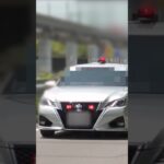 【サイレン‼️】覆面パトカー vs 速いタント‼️ 捕まえる瞬間　#shorts