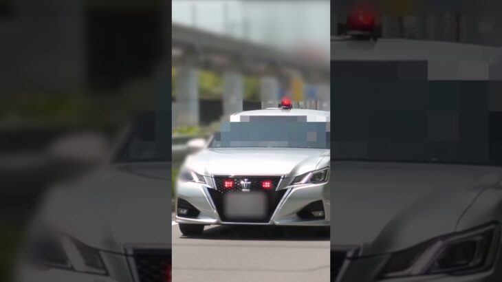 【サイレン‼️】覆面パトカー vs 速いタント‼️ 捕まえる瞬間　#shorts